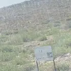 للبيع ارض زراعية بالملز الشرقي