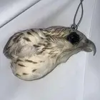 تعليقة سيارة راس صقر محنط