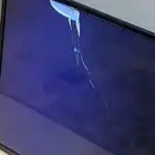 شاشتين مكسورات