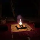 حطب فحم السودس