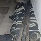 بيت شعر عموديين للبيع