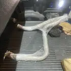 واي بايب f150