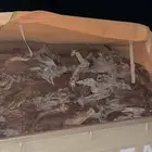 بخور شتاء جمر