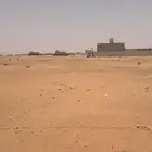 للبيع ارض في الجله صك مستقل