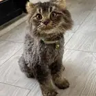 من ذمتي لذمتك