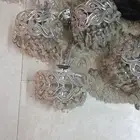 ثريا للبيع البديع والقرفي