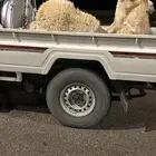 حشو قعدان طيبه فل شحم