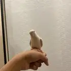 للبيع الطير الروز أليف هدد خارجي و داخلي