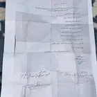 للبيع جمل ركبي حر صافي
