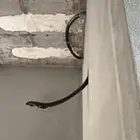 عروض ممتازه و أسعار خاصه و جيده لي جميع عملائنا