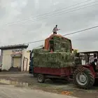 جملة أعلاف العارضه