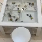 طاولات