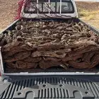 حطب ارطى مسحت صندوق غماره ب 700