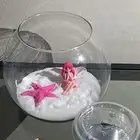 سمك زينه ( فايتر )