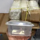 علب بلاستيك