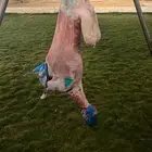 مشاوي شواء شوي مشويات خارجي