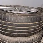 جنوط النترا