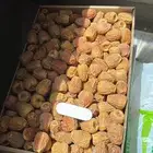 تمر سكري مفتل