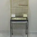اقفاص كاسكو امزون مكاو