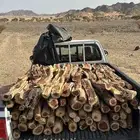سمر للبيع كفو غماره