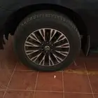 جنوط بلاتينيوم وكاله 2019 مقاس20