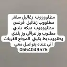 مطلوب ديكه وزغاليل وبط