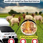 ذبيحتك لباب بيتك