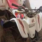 دباب