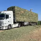 رودس شد تبوك
