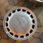جنوط كرسيدا قراندي