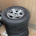جنوط شروكي