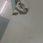 للبيع عل السوم