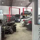 مكاين دوج جنسس شدبلد مستورد ضمان لمدة سنه