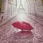 ستائر رول وستائر مجلس وغرف نوم