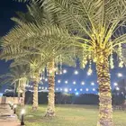 استراحة فاخرة في الفيصلية للايجار