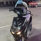 دباب شبيه العجيب ( افينيوس )