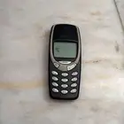 نوكياء العنيد تراثي