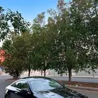 مرسيدس E450 كوبيه موديل 2019