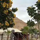 استراحة قسم او قسمين للإيجار