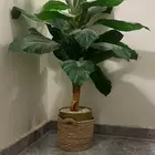 شجر صناعي مع الحوض