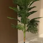 نخلة للبيع