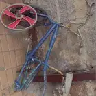 سياكل