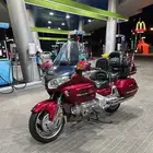 قولد وينق 2004