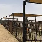 مضلات ابل جميع المقاسات