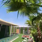 عرض خاص على جميع اقسام الشاليه الزباينا الكرام السعر (250)ري