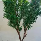 أشجار زيتون صناعيه
