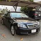 كابرس 2015 شد بلد