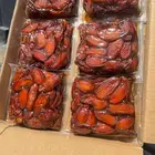 تمر صفري بيشة كفو