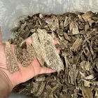 عود سيلاني وتشار هندي
