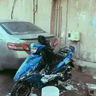 للبيع امبرتا أم بلوف